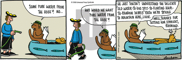 Overboard on Tuesday May 20, 2008 Comic Strip