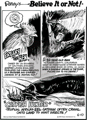 Ripley's Believe It or Not on Saturday June 10, 2006 Comic Strip