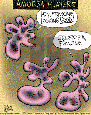 The Flying McCoys on Saturday November 4, 2017 Comic Strip