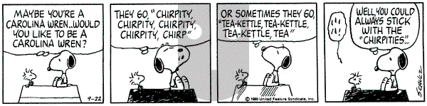 Peanuts on Monday September 22, 1980 Comic Strip