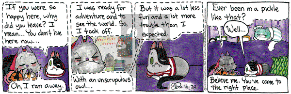 Breaking Cat News - Saturday October 29, 2022 Comic Strip