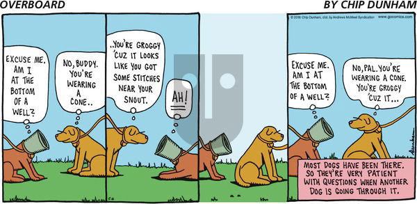 Overboard on Sunday May 6, 2018 Comic Strip