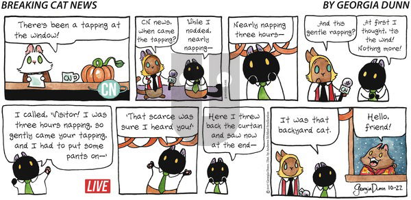 Breaking Cat News on Sunday October 22, 2017 Comic Strip