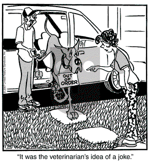 Marmaduke on Monday July 9, 2007 Comic Strip