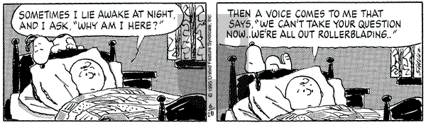 Peanuts on Friday May 17, 1996 Comic Strip