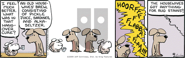 DeFlocked on Saturday January 3, 2009 Comic Strip