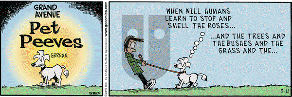 Grand Avenue on Tuesday March 12, 2019 Comic Strip