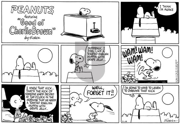 Peanuts on Sunday July 14, 1974 Comic Strip