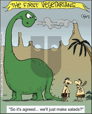 The Flying McCoys on Friday June 21, 2019 Comic Strip