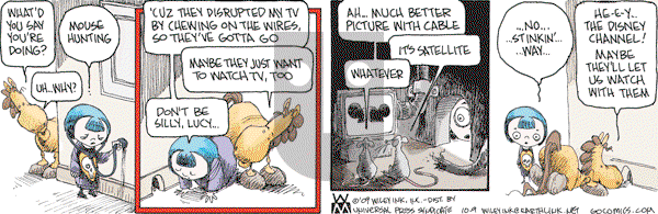 Non Sequitur - Friday October 9, 2009 Comic Strip