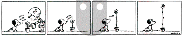 Peanuts - Friday October 6, 1950 Comic Strip