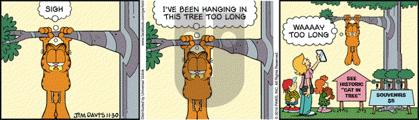 Garfield on Wednesday November 30, 2016 Comic Strip