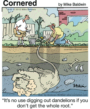 Cornered on Thursday August 20, 2020 Comic Strip