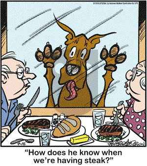 Marmaduke on Wednesday September 16, 2020 Comic Strip