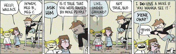 Wallace the Brave on Monday May 5, 2025 Comic Strip