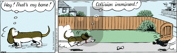 Fred Basset on Wednesday December 31, 2014 Comic Strip
