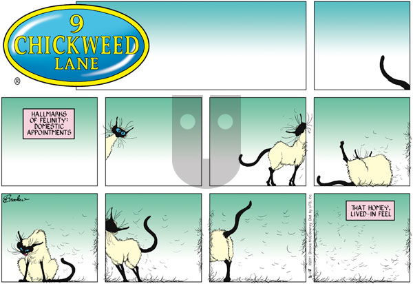 9 Chickweed Lane on Sunday April 10, 2011 Comic Strip