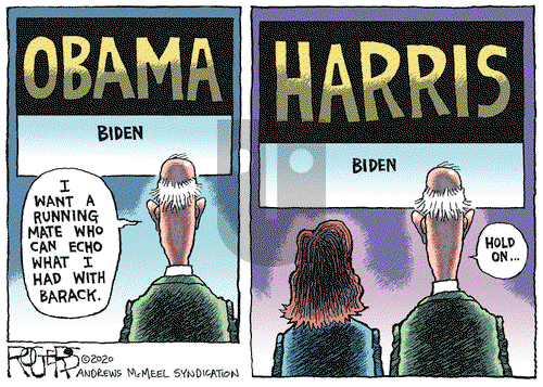 Rob Rogers on Thursday August 13, 2020 Comic Strip
