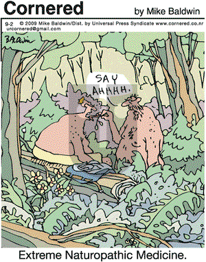 Cornered on Tuesday September 1, 2009 Comic Strip