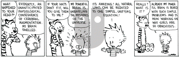 Calvin and Hobbes on Saturday November 20, 1993 Comic Strip