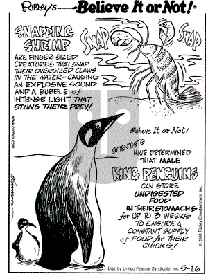 Ripley's Believe It or Not on Friday May 16, 2003 Comic Strip