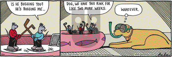Overboard on Thursday March 30, 2017 Comic Strip