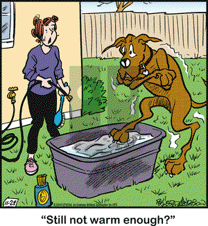 Marmaduke on Thursday November 29, 2018 Comic Strip