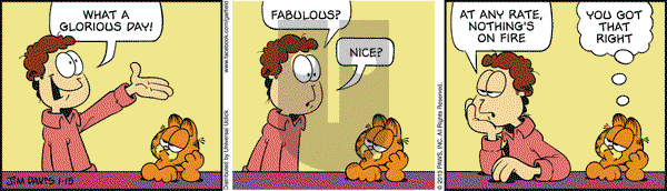 Garfield on Tuesday January 15, 2013 Comic Strip