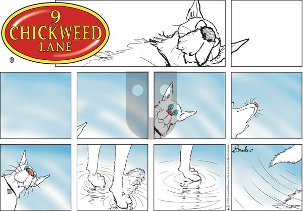 9 Chickweed Lane on Sunday June 3, 2018 Comic Strip