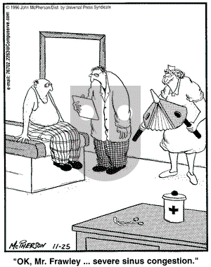 Close to Home on Monday November 25, 1996 Comic Strip