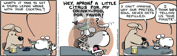 DeFlocked on Tuesday August 26, 2008 Comic Strip