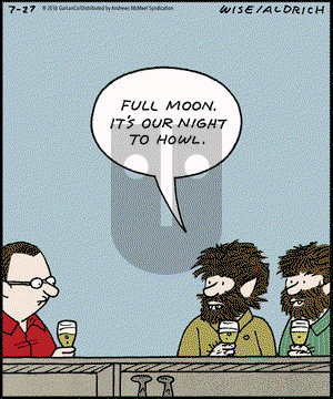 Real Life Adventures on Friday July 27, 2018 Comic Strip