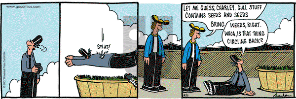 Overboard on Monday June 11, 2007 Comic Strip