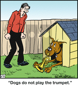 Marmaduke on Friday May 3, 2019 Comic Strip