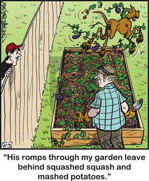 Marmaduke on Tuesday October 3, 2017 Comic Strip