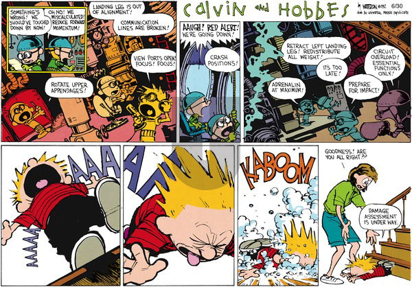 Calvin and Hobbes on Sunday August 16, 1992 Comic Strip