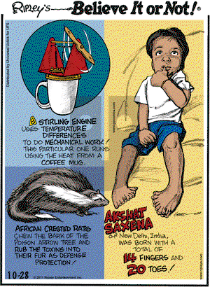 Ripley's Believe It or Not on Friday October 28, 2011 Comic Strip