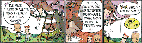 Wallace the Brave on Tuesday July 30, 2019 Comic Strip
