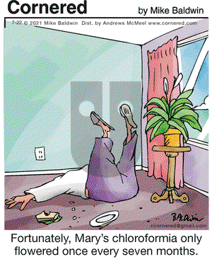 Cornered on Thursday July 22, 2021 Comic Strip