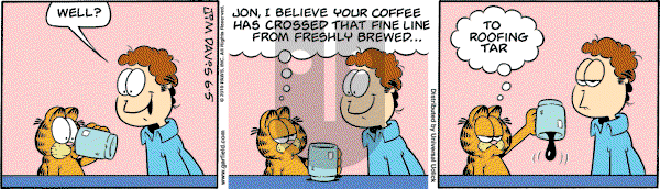 Garfield - Saturday June 5, 2010 Comic Strip