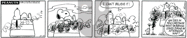 Peanuts on Saturday November 15, 1969 Comic Strip