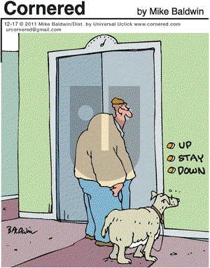 Cornered on Saturday December 17, 2011 Comic Strip