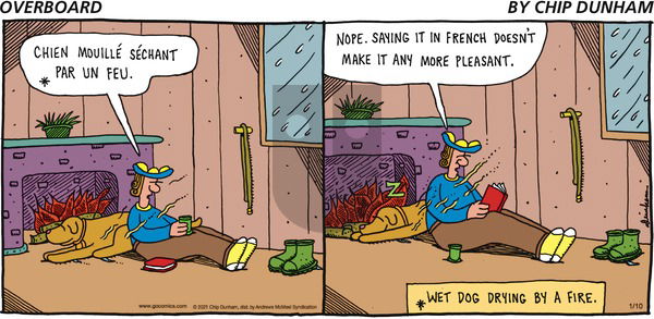 Overboard on Sunday January 10, 2021 Comic Strip