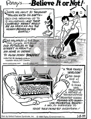 Ripley's Believe It or Not on Friday January 8, 1999 Comic Strip