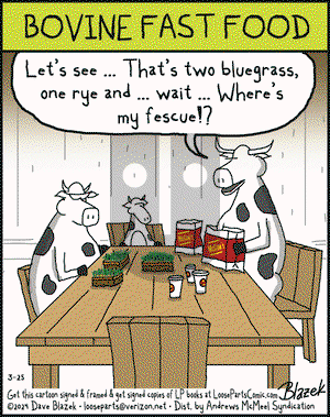 Loose Parts - Monday March 25, 2024 Comic Strip