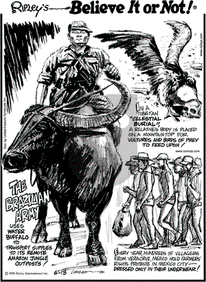 Ripley's Believe It or Not on Tuesday June 13, 2006 Comic Strip