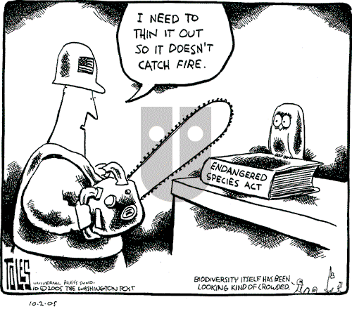 Tom Toles - Sunday October 2, 2005 Comic Strip