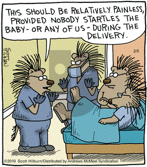 The Argyle Sweater on Tuesday February 5, 2019 Comic Strip