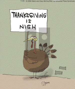 The Flying McCoys on Tuesday November 25, 2008 Comic Strip