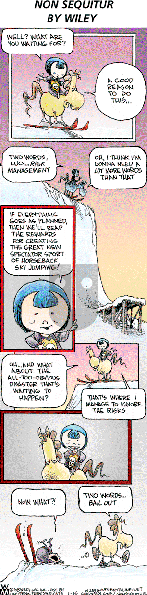 Non Sequitur on Sunday January 25, 2009 Comic Strip